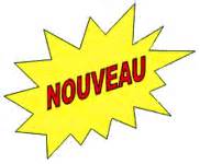 logo Le Nouveau-Ne'